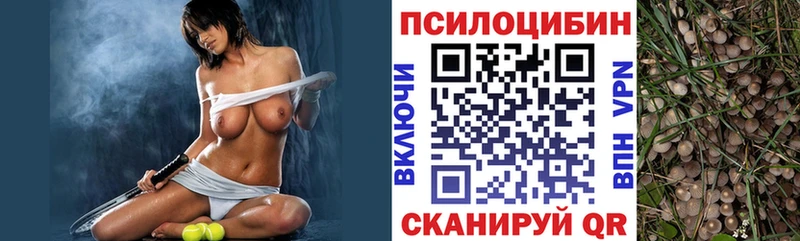 blacksprut ТОР  Амурск  Галлюциногенные грибы Magic Shrooms  дарнет шоп 
